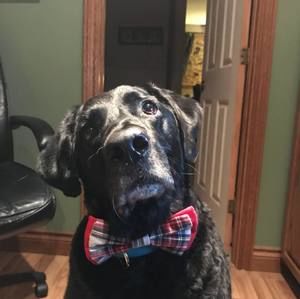 Meet your Posher, Janet